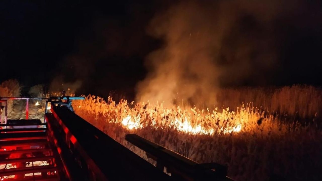 İzmir ve Uşak'da orman yangını